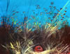 Jackson Hensley Gallery: Image